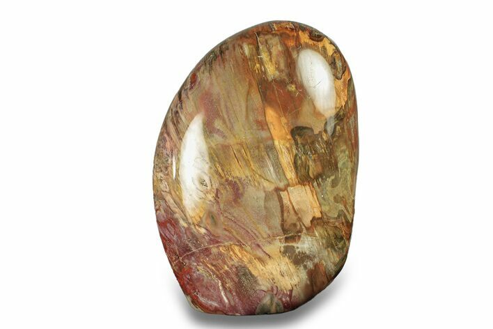 Free-Standing, Polished Petrified Wood - Madagascar #271811